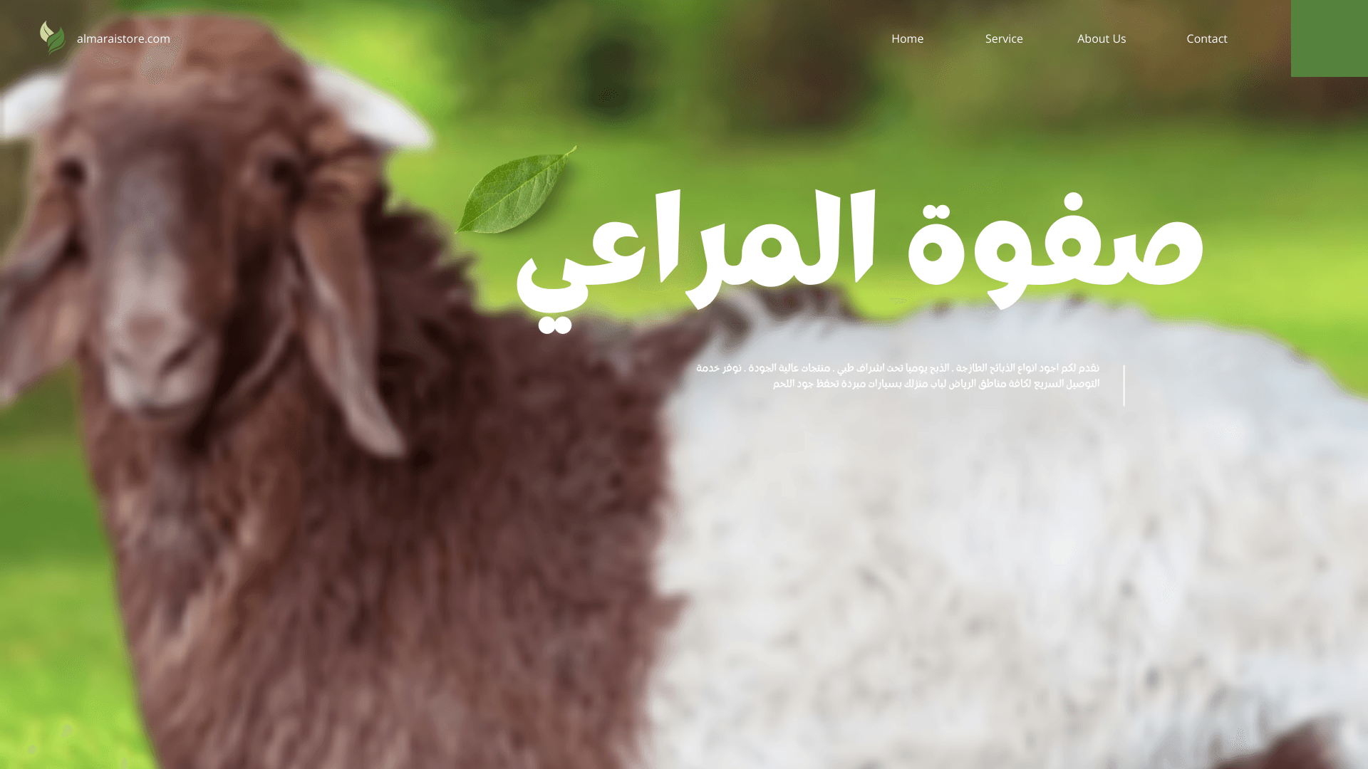 Read more about the article اطيب ذبيحة