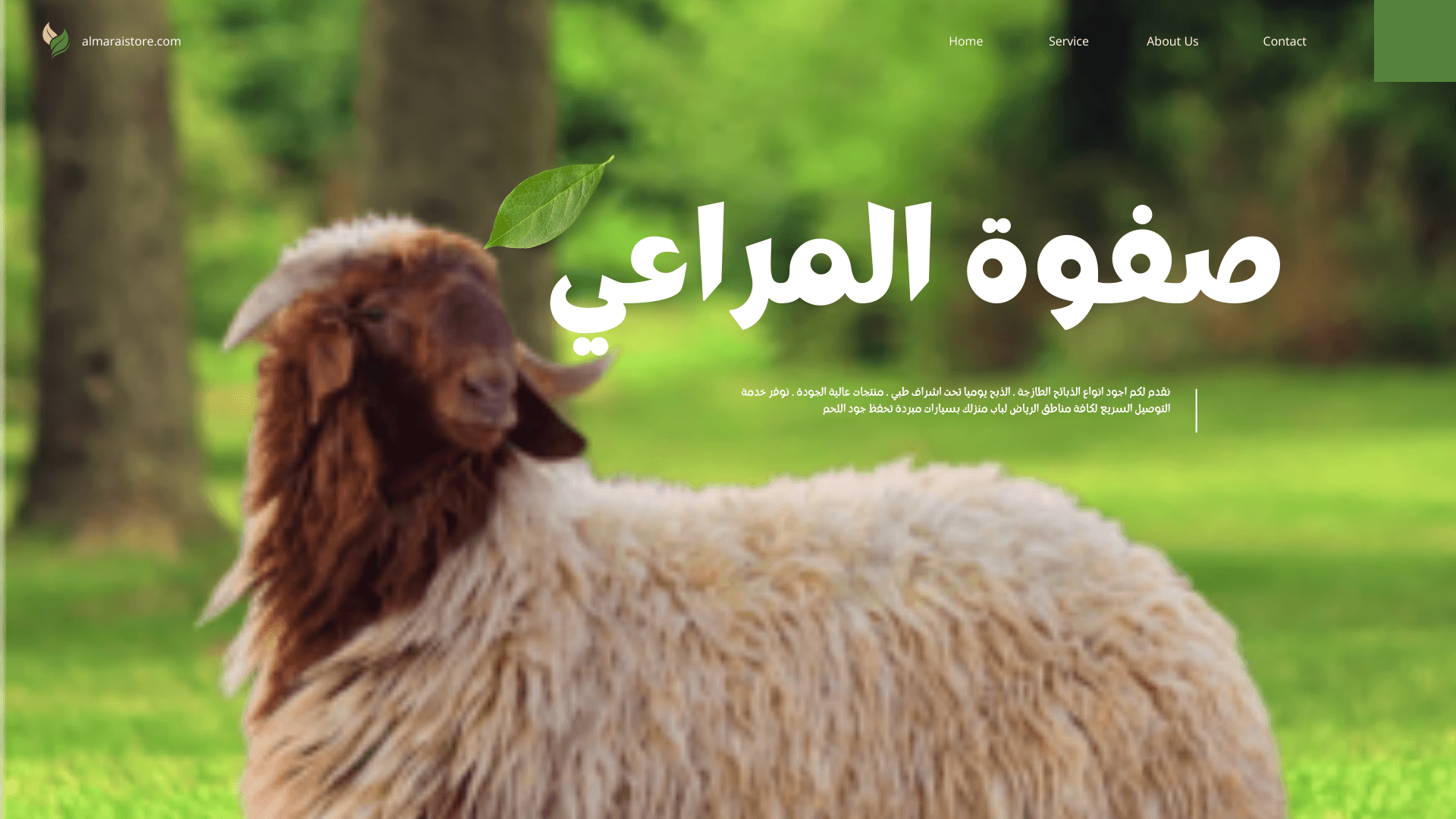 You are currently viewing ذبيحة نعيمي بلدي فاخر – شامل الذبح والتغليف والتوصيل