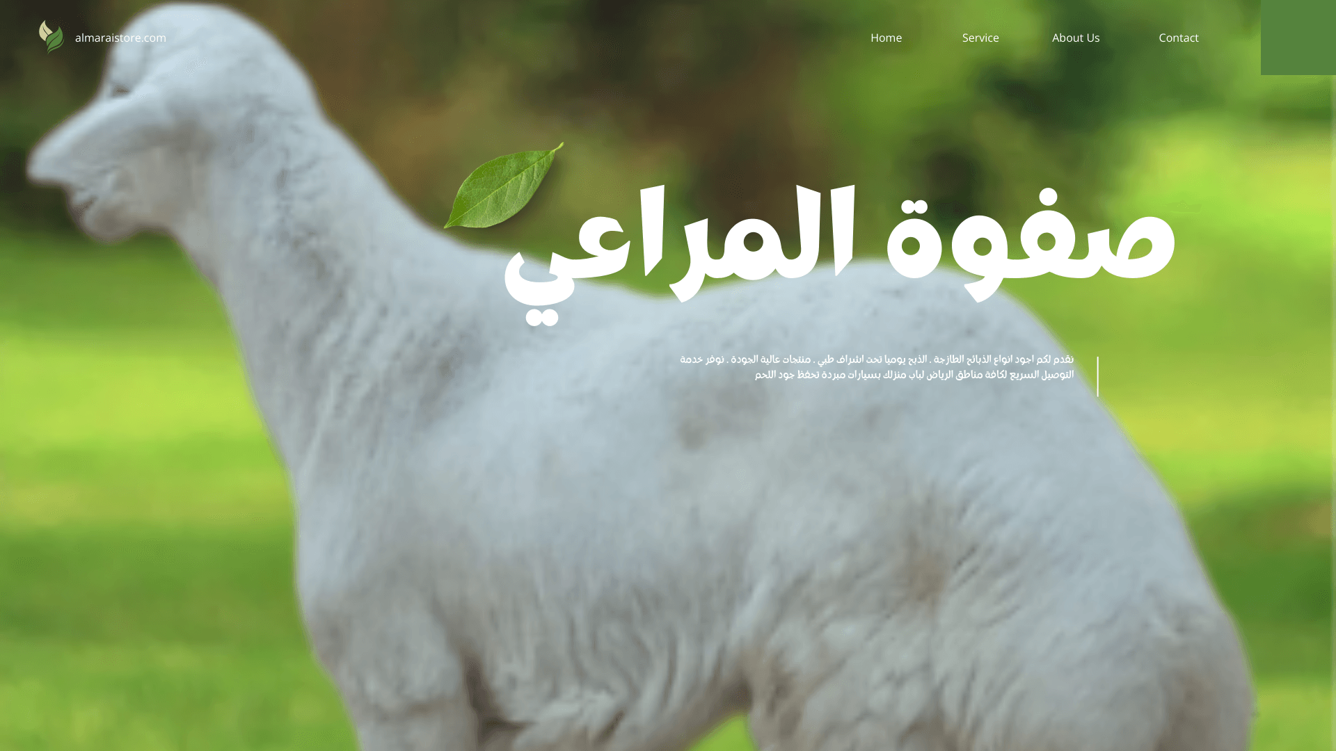 Read more about the article افضل انواع الغنم البلدي