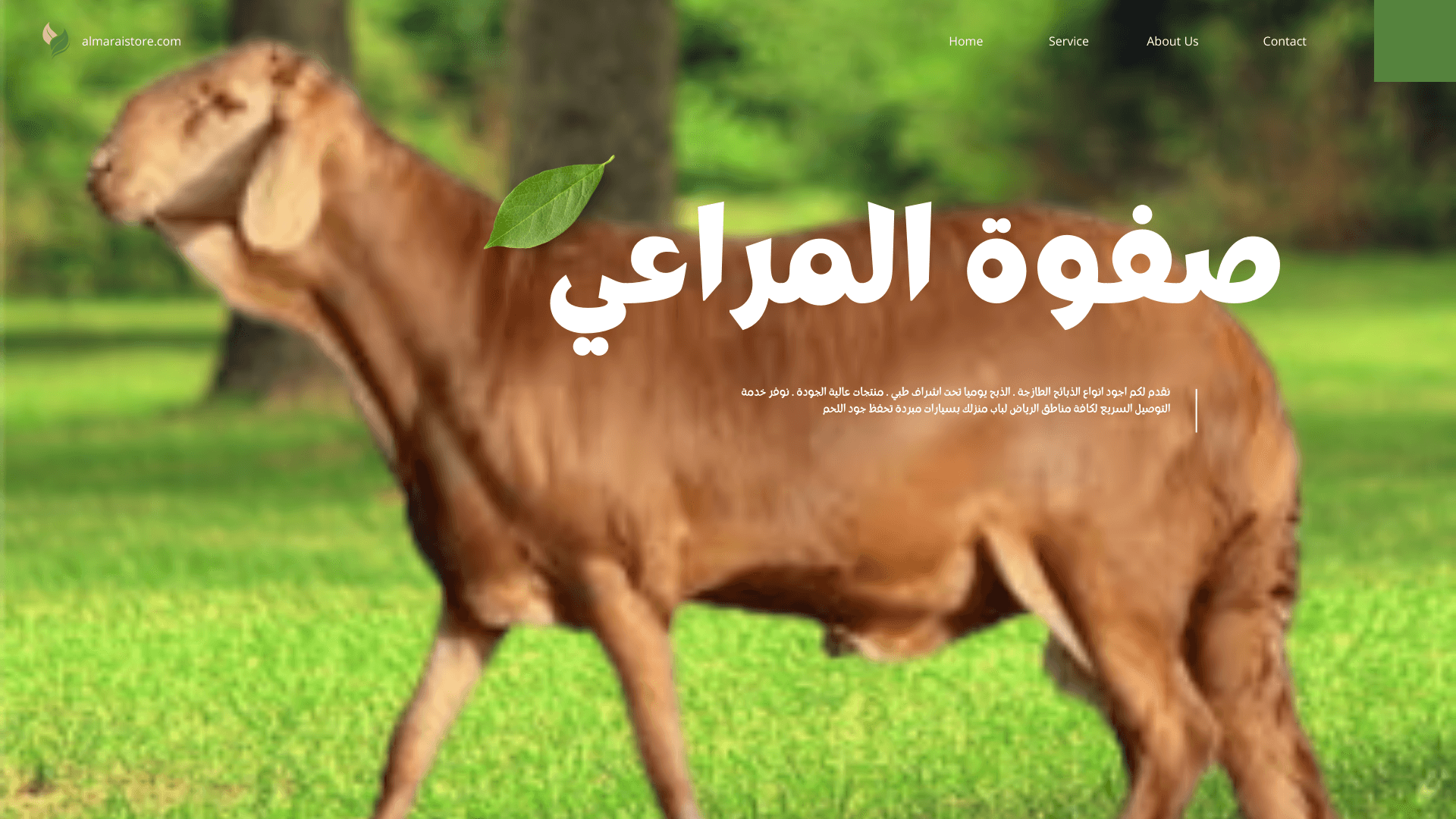 خرفان سواكني للبيع بالرياض