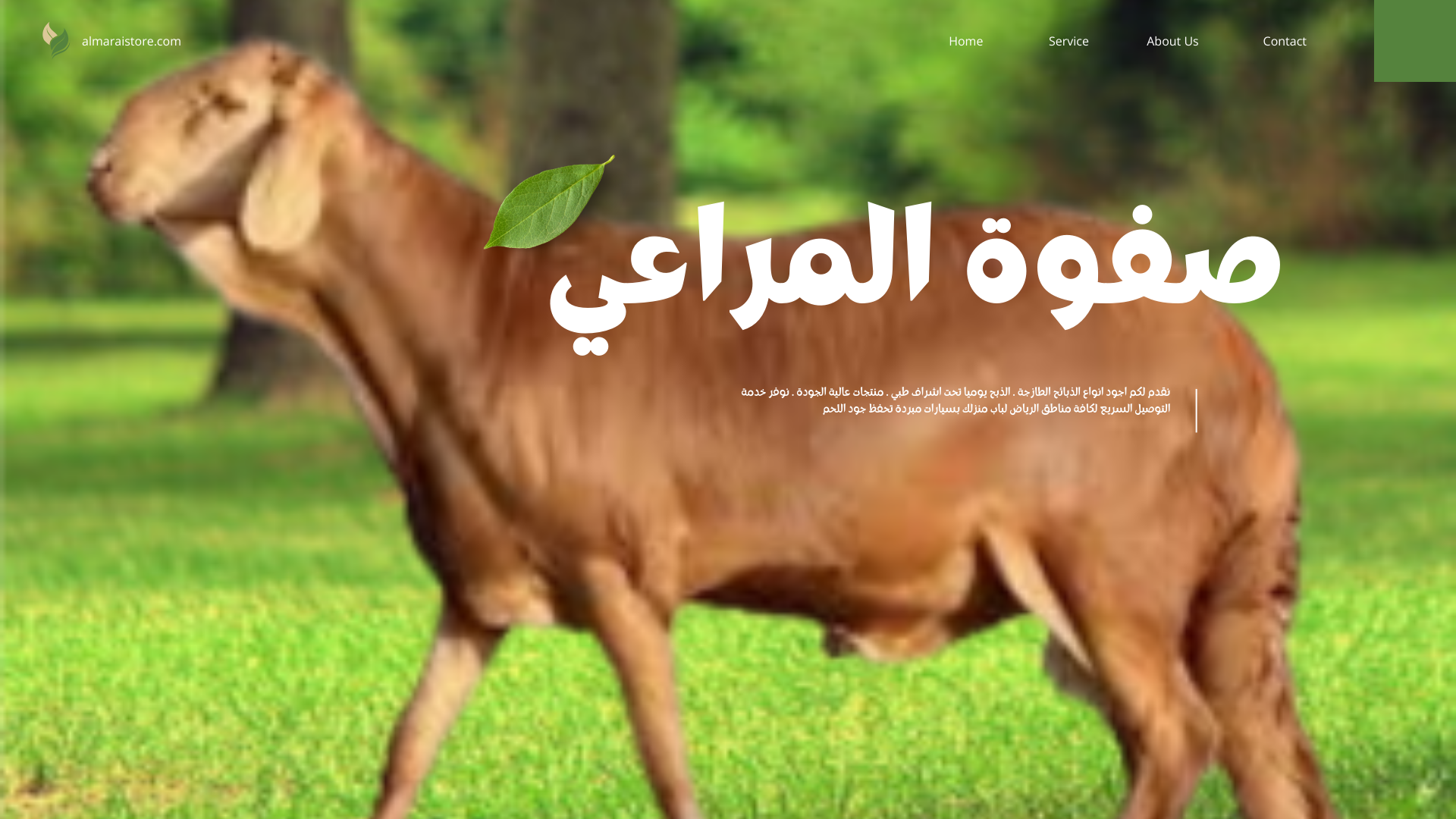 خروف سواكني فاخر (هرفي)