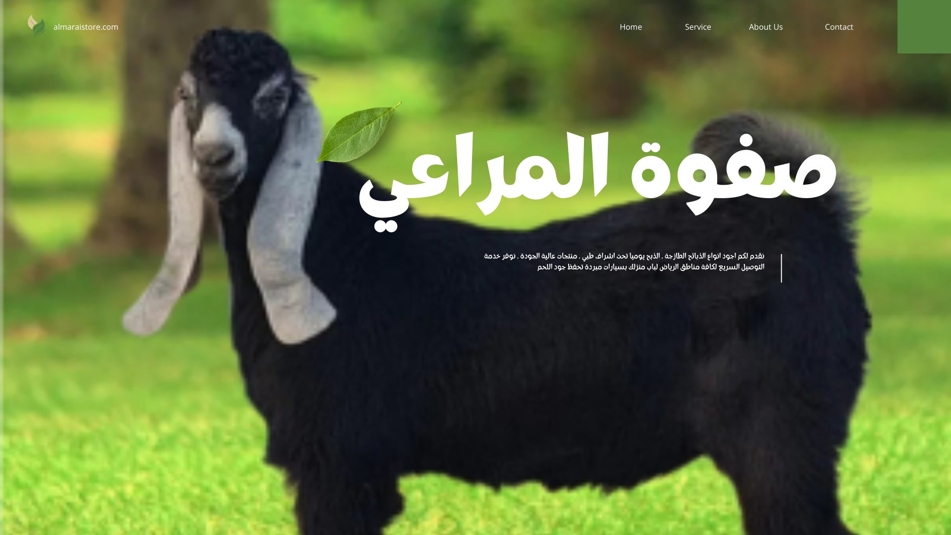 You are currently viewing تيس بلدي عارضي مع الذبح والتوصيل