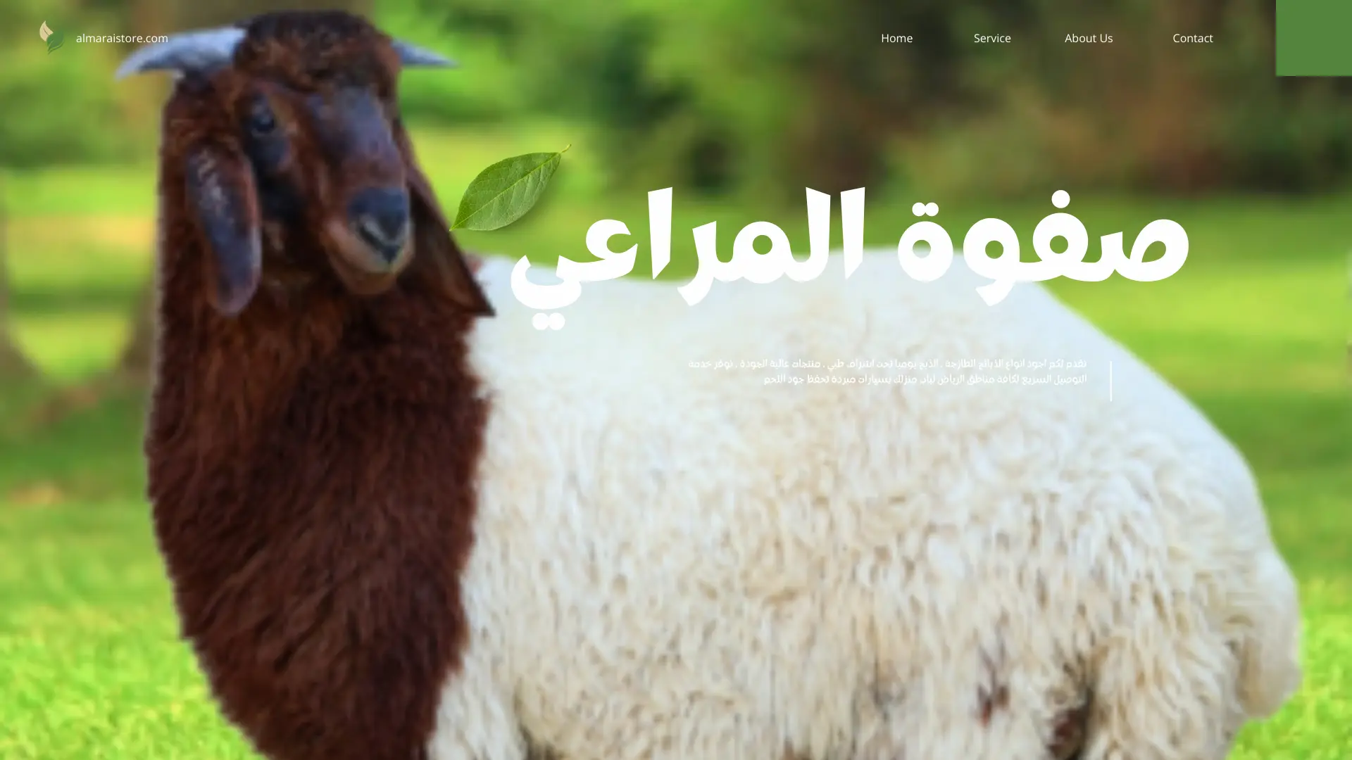 اسعار الغنم اليوم في الرياض - صفوة المراعي للذبائح 1447هـ / 2026م