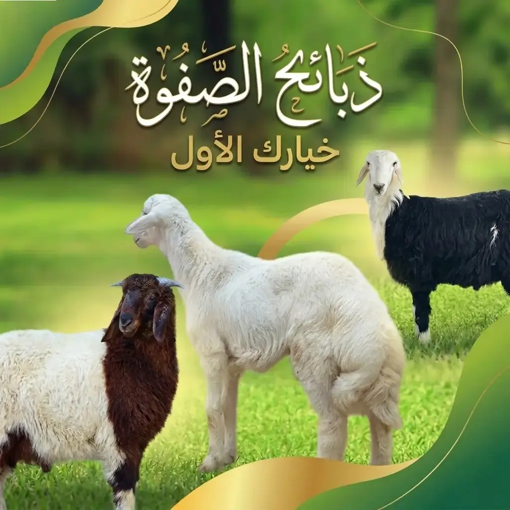 دليل تنسيق وتسليم الذبائح لمطابخ الطهي بالرياض